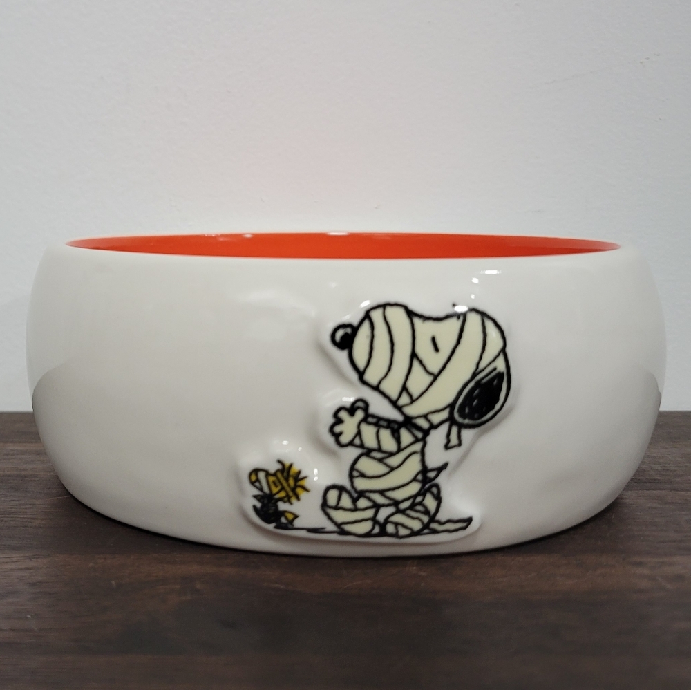 Rae Dunn X Snoopy Mummy Dog Bowl